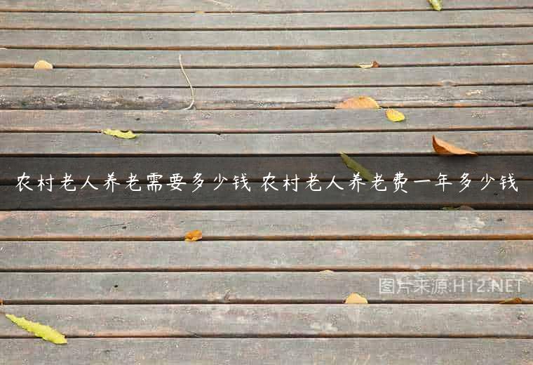 农村老人养老需要多少钱 农村老人养老费一年多少钱