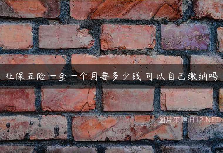社保五险一金一个月要多少钱 可以自己缴纳吗
