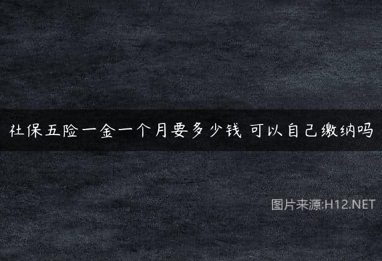 社保五险一金一个月要多少钱 可以自己缴纳吗
