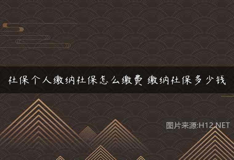 社保个人缴纳社保怎么缴费 缴纳社保多少钱
