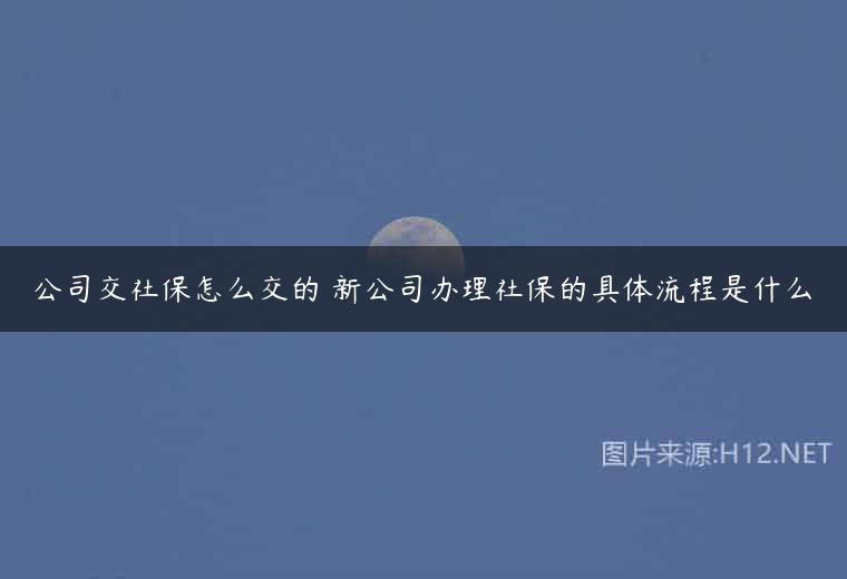 公司交社保怎么交的 新公司办理社保的具体流程是什么