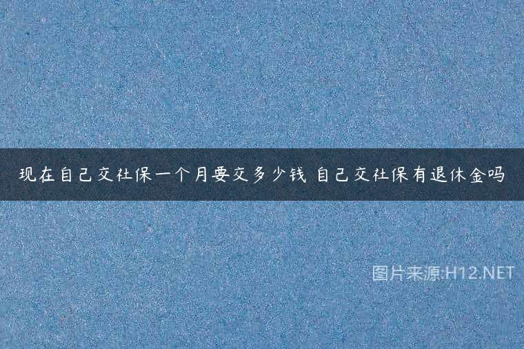 现在自己交社保一个月要交多少钱 自己交社保有退休金吗