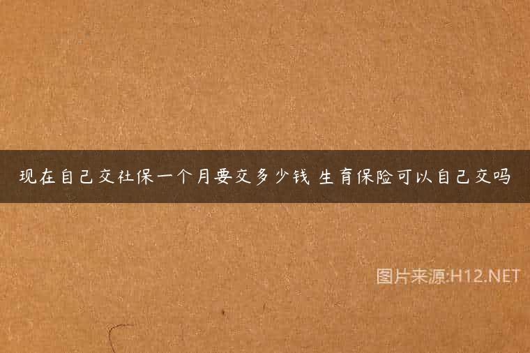 现在自己交社保一个月要交多少钱 生育保险可以自己交吗