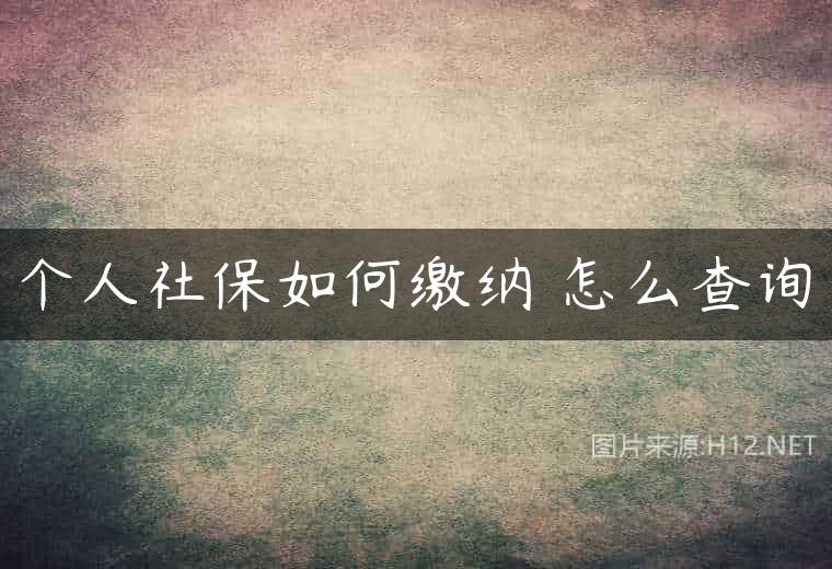 个人社保如何缴纳 怎么查询