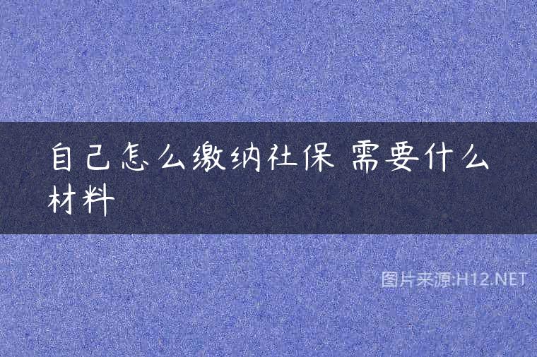 自己怎么缴纳社保 需要什么材料