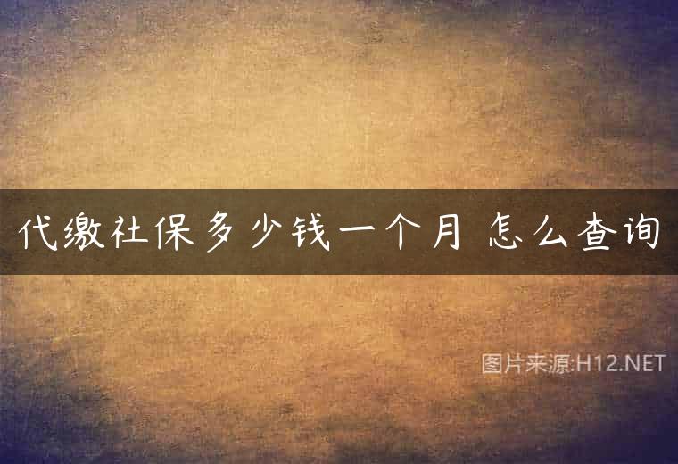 代缴社保多少钱一个月 怎么查询