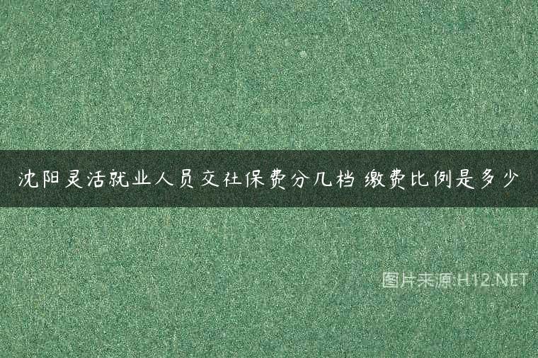 沈阳灵活就业人员交社保费分几档 缴费比例是多少