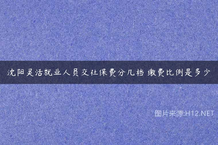 沈阳灵活就业人员交社保费分几档 缴费比例是多少