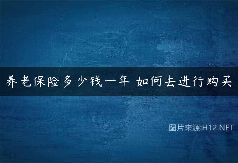 养老保险多少钱一年 如何去进行购买