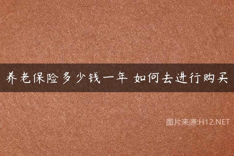 养老保险多少钱一年 如何去进行购买