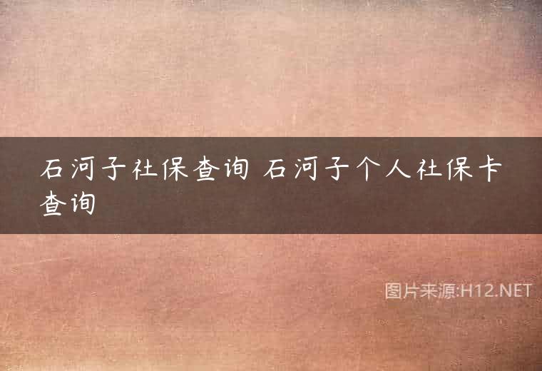 石河子社保查询 石河子个人社保卡查询