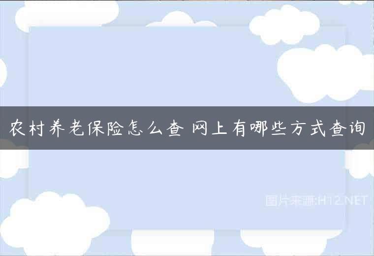 农村养老保险怎么查 网上有哪些方式查询