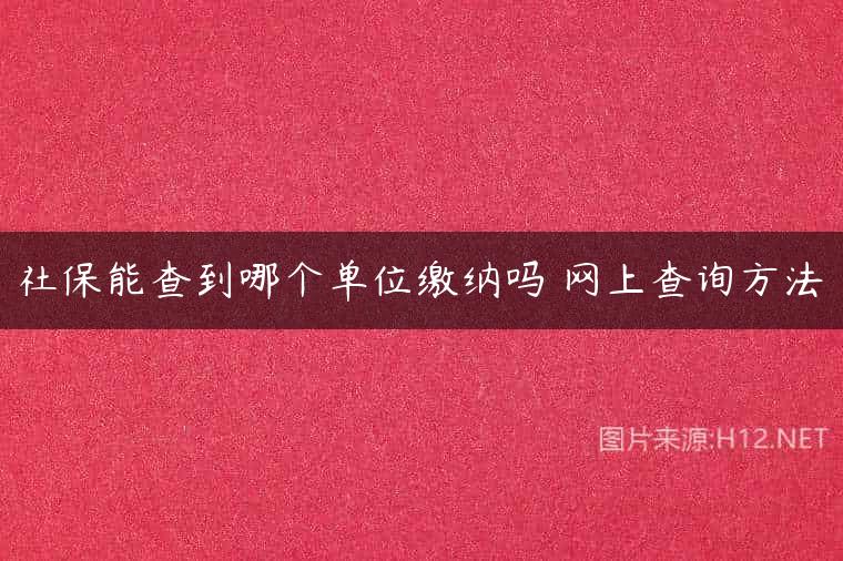社保能查到哪个单位缴纳吗 网上查询方法