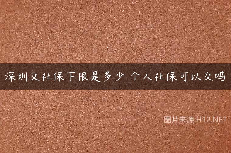 深圳交社保下限是多少 个人社保可以交吗