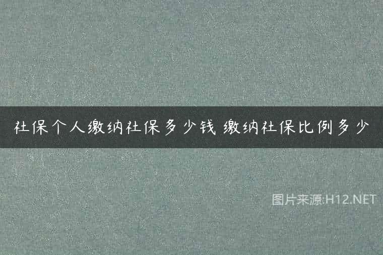 社保个人缴纳社保多少钱 缴纳社保比例多少