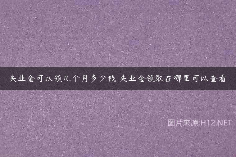 失业金可以领几个月多少钱 失业金领取在哪里可以查看