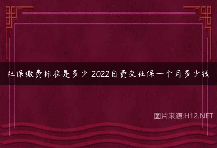 社保缴费标准是多少 2022自费交社保一个月多少钱