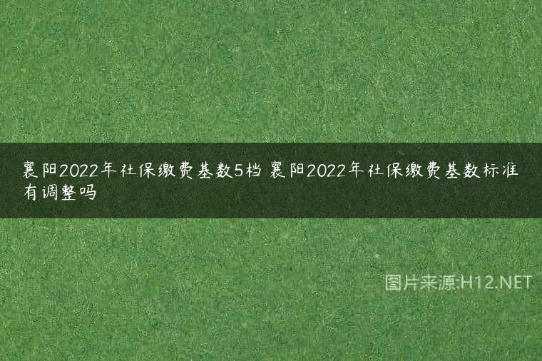 襄阳2022年社保缴费基数5档 襄阳2022年社保缴费基数标准有调整吗
