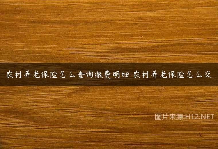 农村养老保险怎么查询缴费明细 农村养老保险怎么交