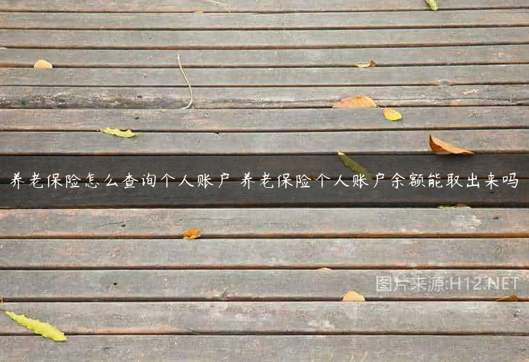 养老保险怎么查询个人账户 养老保险个人账户余额能取出来吗
