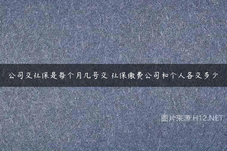 公司交社保是每个月几号交 社保缴费公司和个人各交多少