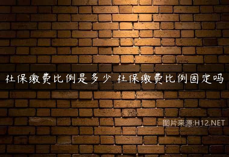 社保缴费比例是多少 社保缴费比例固定吗