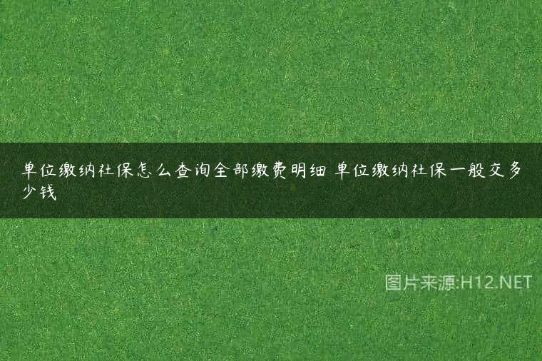 单位缴纳社保怎么查询全部缴费明细 单位缴纳社保一般交多少钱