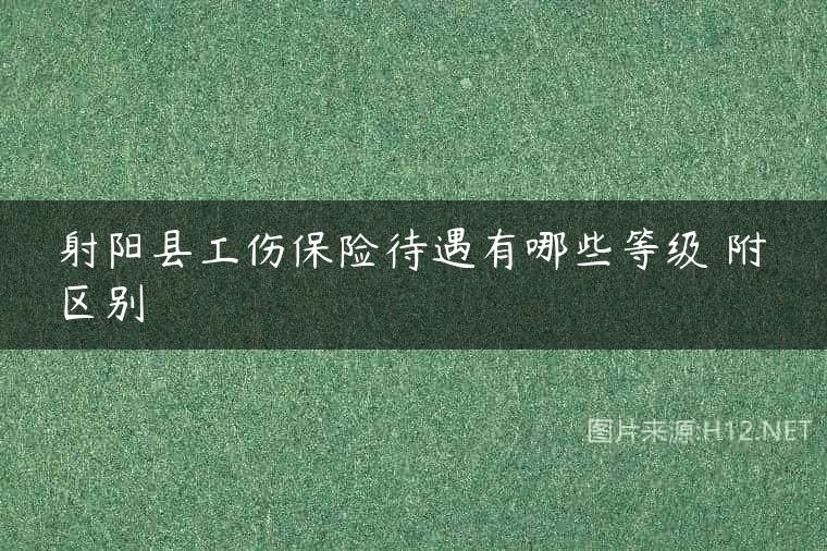 射阳县工伤保险待遇有哪些等级 附区别