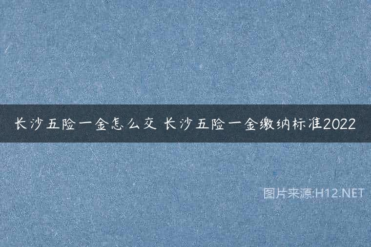 长沙五险一金怎么交 长沙五险一金缴纳标准2022