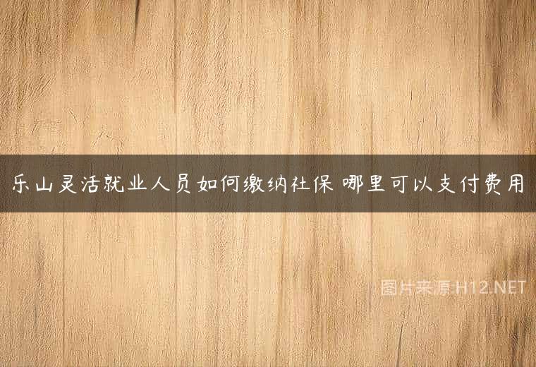 乐山灵活就业人员如何缴纳社保 哪里可以支付费用