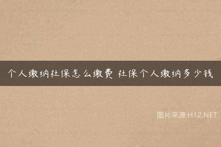 个人缴纳社保怎么缴费 社保个人缴纳多少钱