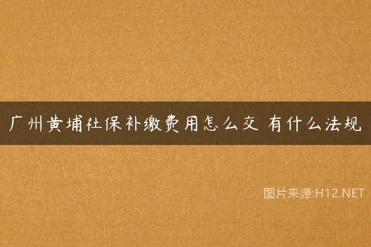 广州黄埔社保补缴费用怎么交 有什么法规