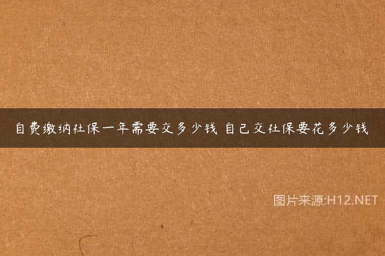 自费缴纳社保一年需要交多少钱 自己交社保要花多少钱