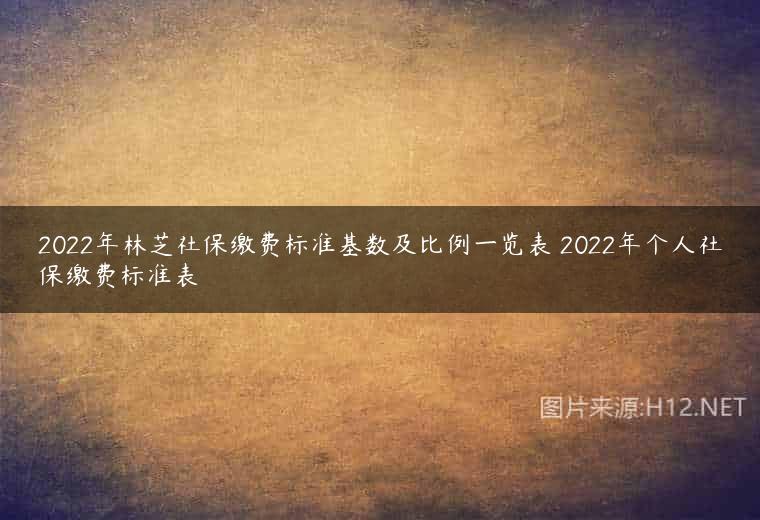 2022年林芝社保缴费标准基数及比例一览表 2022年个人社保缴费标准表