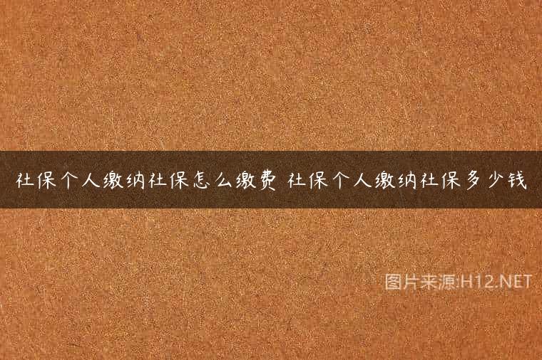 社保个人缴纳社保怎么缴费 社保个人缴纳社保多少钱