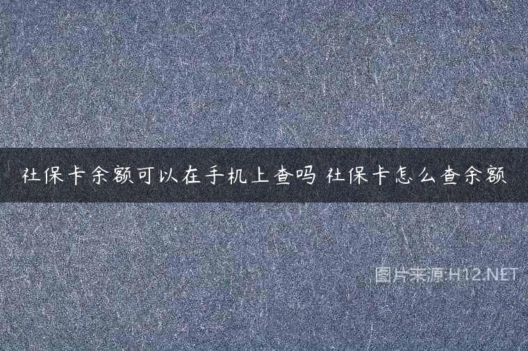 社保卡余额可以在手机上查吗 社保卡怎么查余额