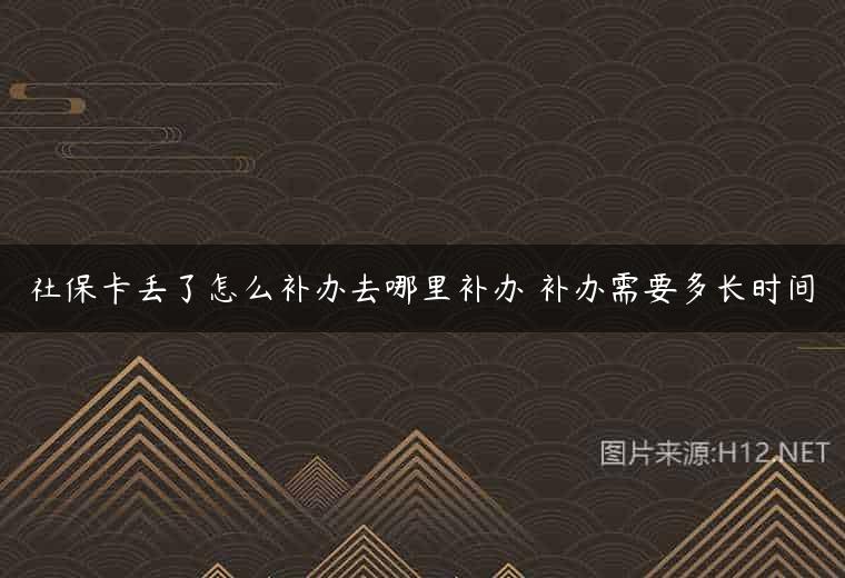 社保卡丢了怎么补办去哪里补办 补办需要多长时间