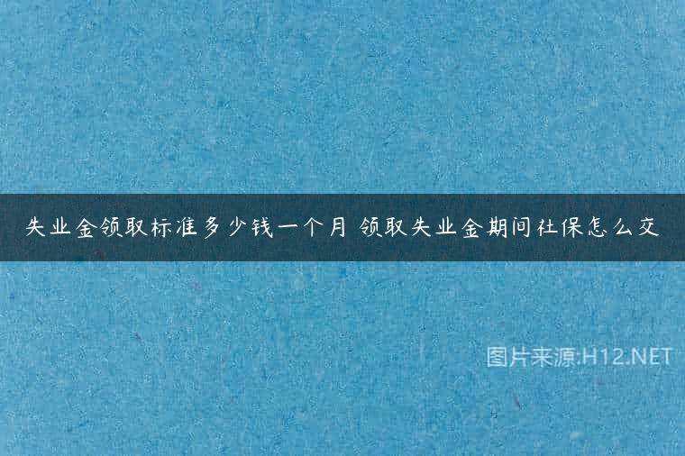 失业金领取标准多少钱一个月 领取失业金期间社保怎么交