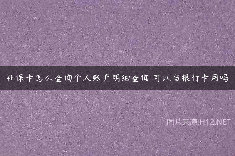 社保卡怎么查询个人账户明细查询 可以当银行卡用吗
