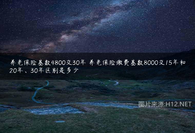 养老保险基数4800交30年 养老保险缴费基数8000交15年和20年、30年区别是多少