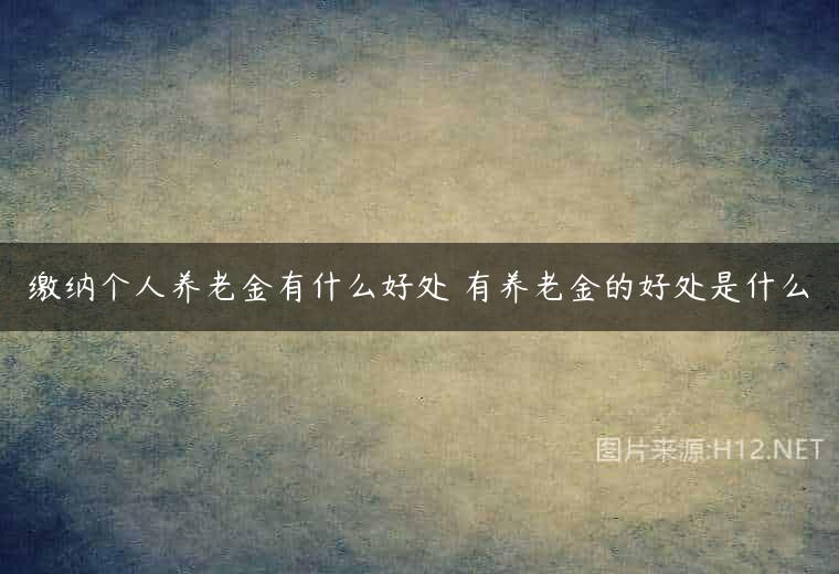 缴纳个人养老金有什么好处 有养老金的好处是什么