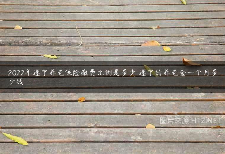 2022年遂宁养老保险缴费比例是多少 遂宁的养老金一个月多少钱