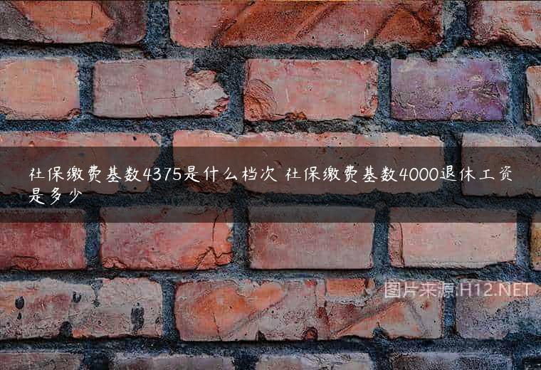 社保缴费基数4375是什么档次 社保缴费基数4000退休工资是多少