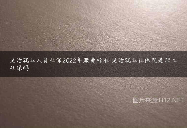 灵活就业人员社保2022年缴费标准 灵活就业社保就是职工社保吗