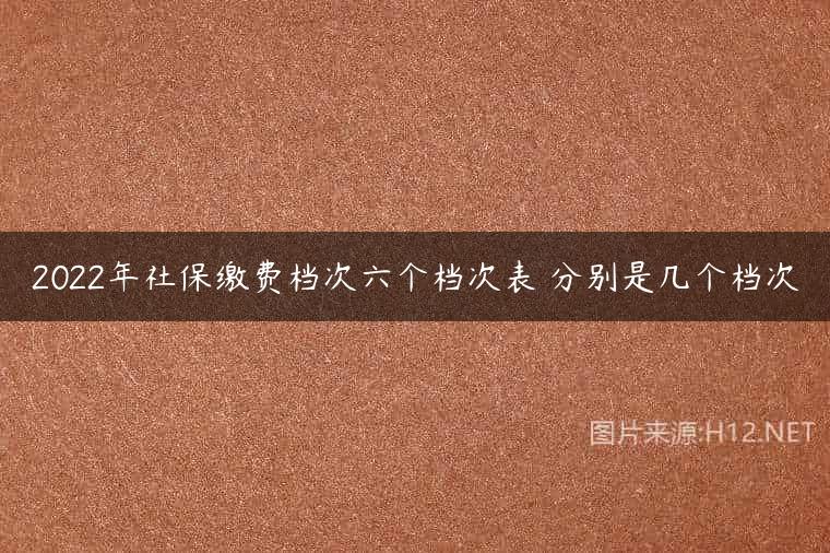 2022年社保缴费档次六个档次表 分别是几个档次