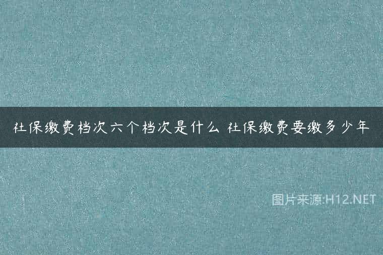 社保缴费档次六个档次是什么 社保缴费要缴多少年