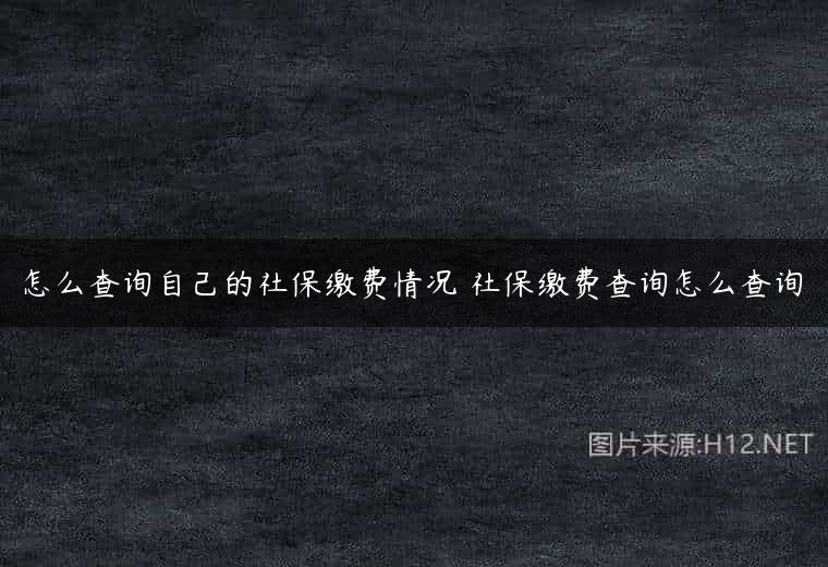 怎么查询自己的社保缴费情况 社保缴费查询怎么查询