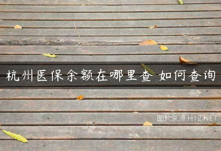 杭州医保余额在哪里查 如何查询