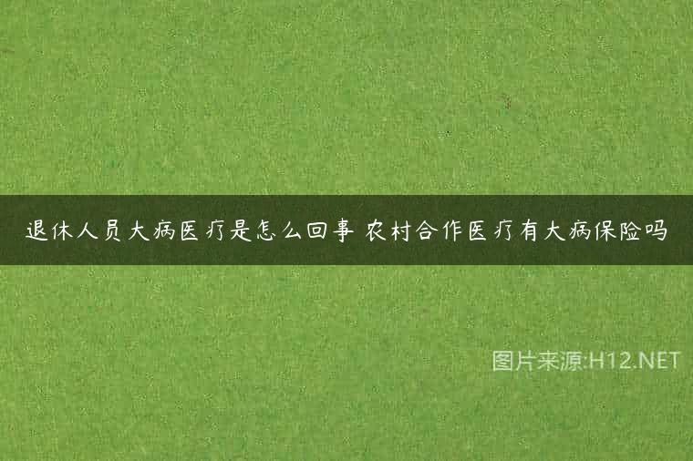 退休人员大病医疗是怎么回事 农村合作医疗有大病保险吗