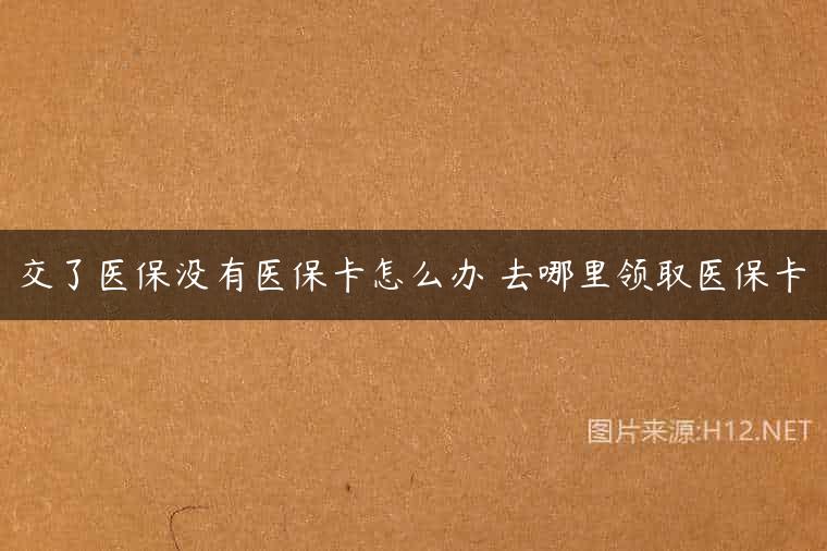 交了医保没有医保卡怎么办 去哪里领取医保卡